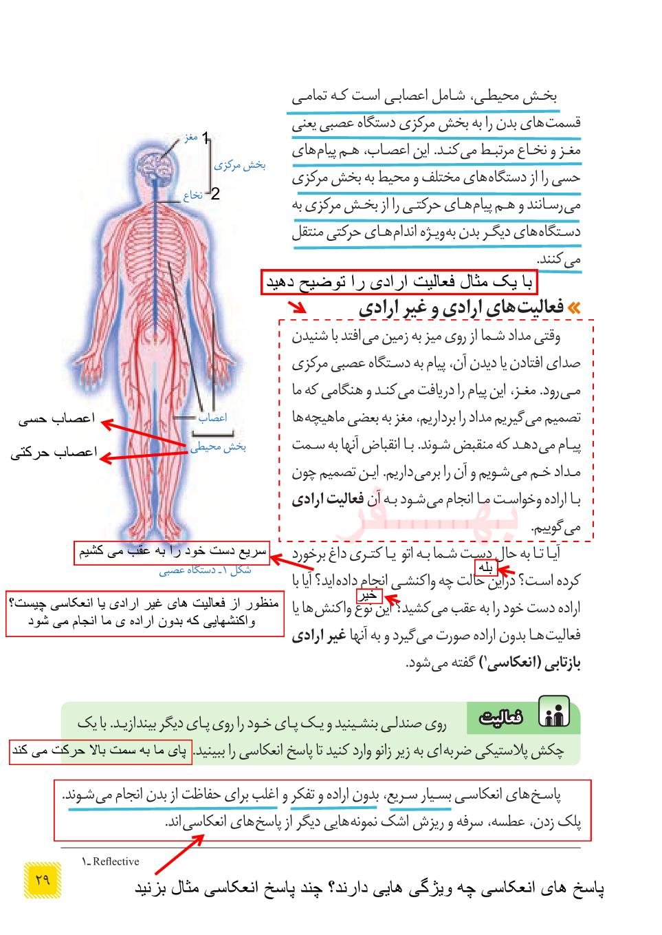 علوم هشتم نکته های مهم کتاب فصل چهارم