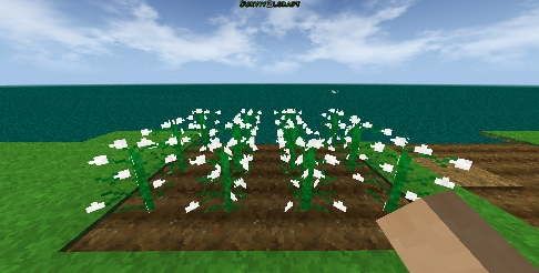 رشد کامل گیاه Survivalcraft 2
