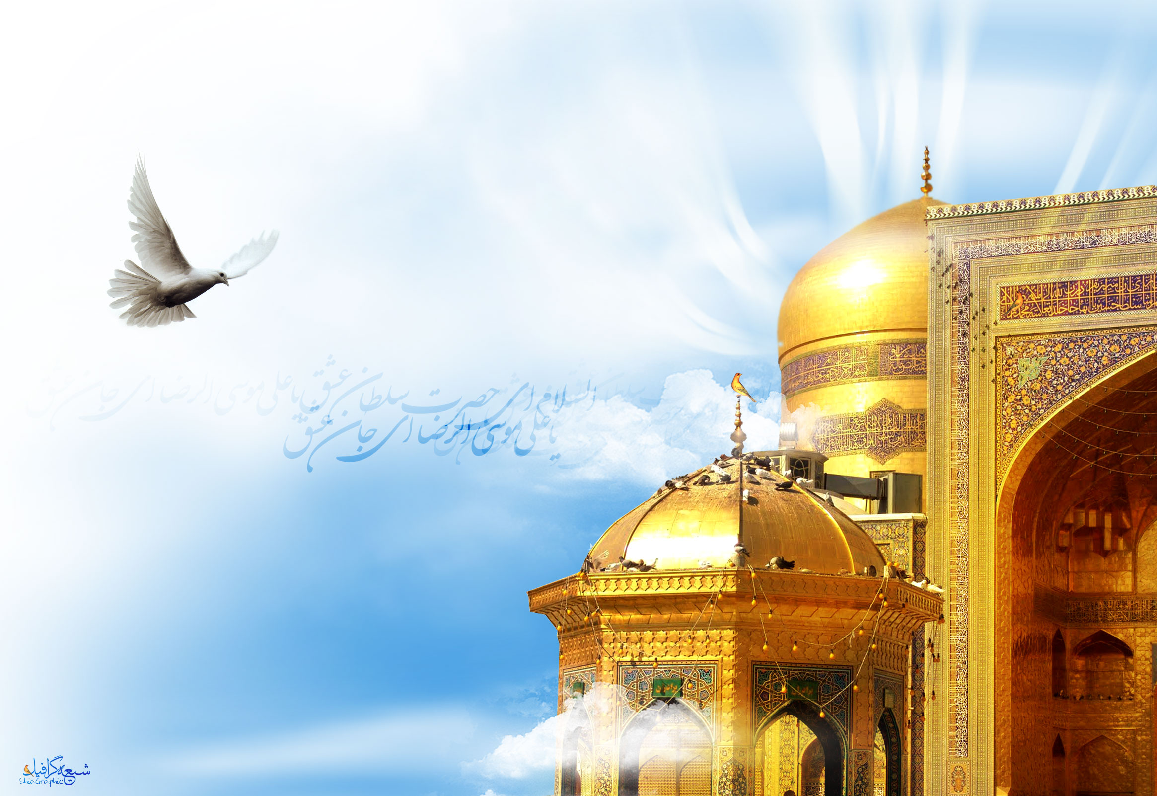23 ذی القعده روز زیارتی امام رضا ع و اعمال آن