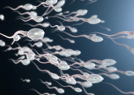 تحرک اسپرم sperm motility