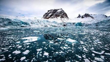 سرعت گرم شدن قطب شمال ۴ برابر از مناطق دیگر است