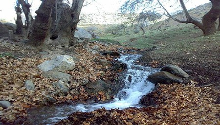پارک ملی بختگان