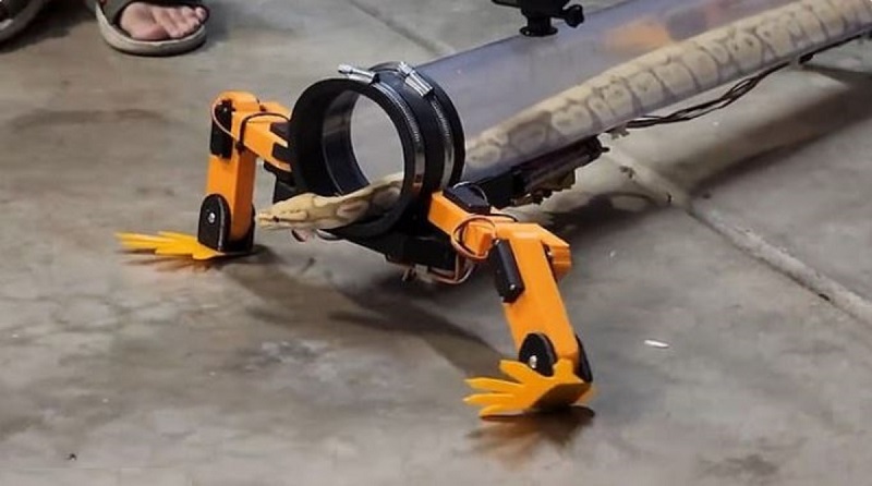 رباتی که به مار ها کمک می کند که روی دست و پا راه بروند .