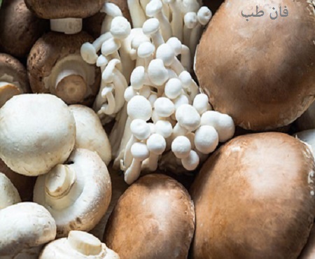 فواید قارچ خوراکی mushroom