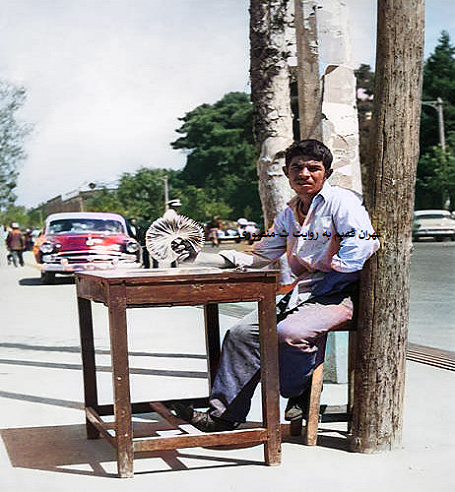 بلیط فروش بخت آزمایی