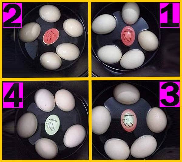 تایمر پخت تخم مرغ Egg Timer مخصوص کودکان بهونه گیر