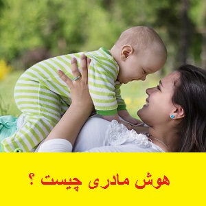 هوش مادری یا پدری