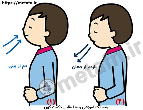 تنفس عمیق و کامل. دم و بازدم